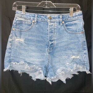 We the Free People jean shorts Size 28 CRVY